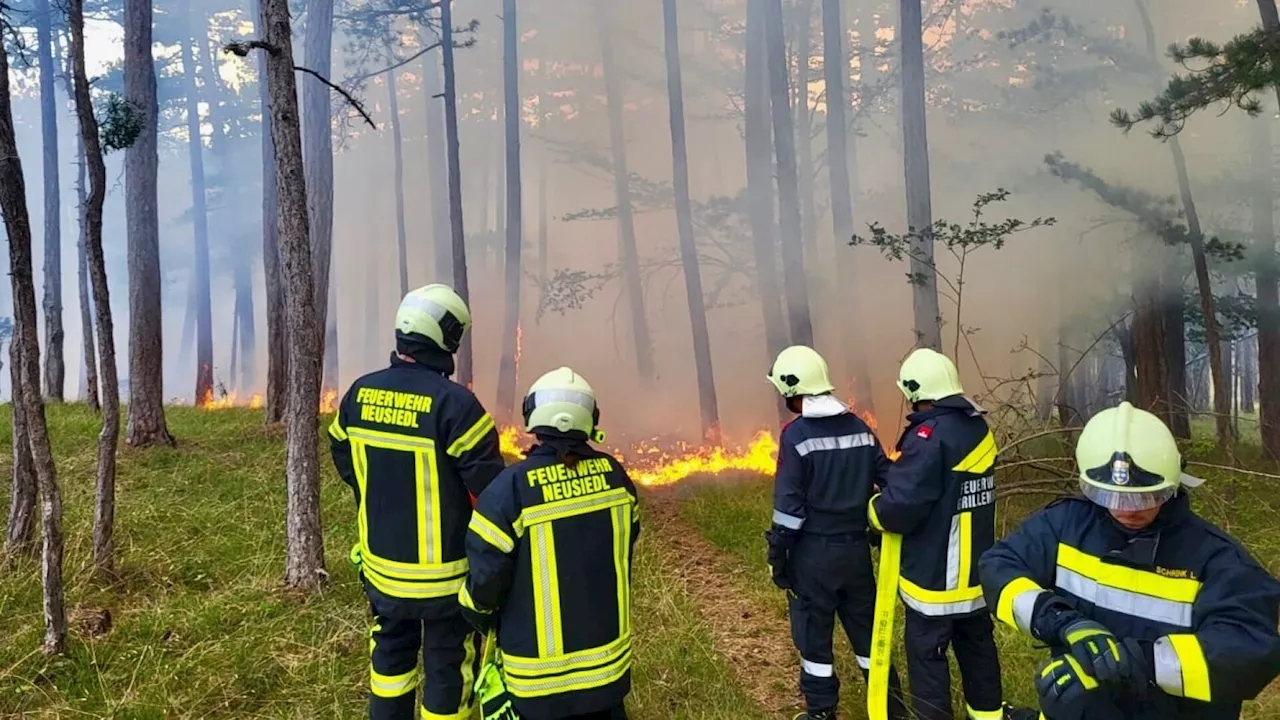 Waldbrand in Grillenberg forderte alle Einsatzkräfte