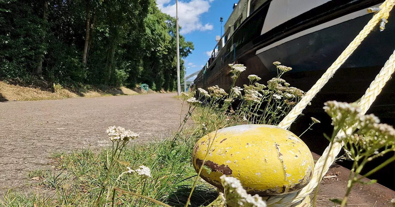 Wasserschutzpolizei ermittelt in Minden: Unbekannter löst Seile von Schiffen