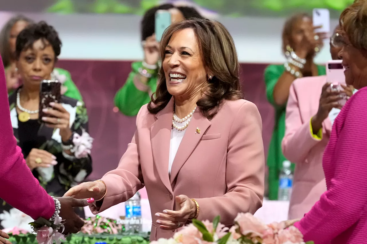 Democrats calling Michigan black voters to support Harris, end any criticism: ‘Stand down’