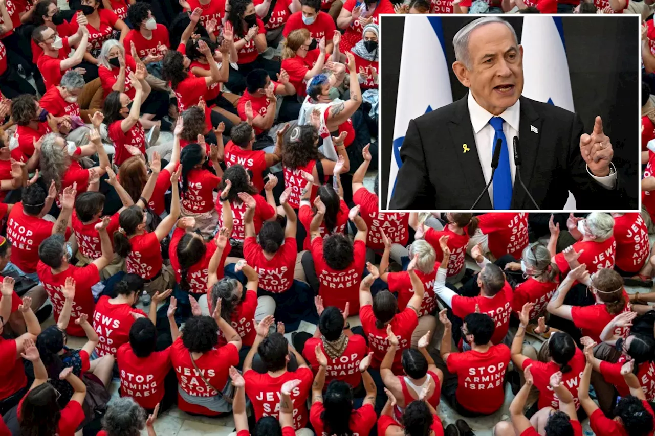 Dozens of anti-Israel agitators arrested after invading Capitol Hill building on eve of Netanyahu address