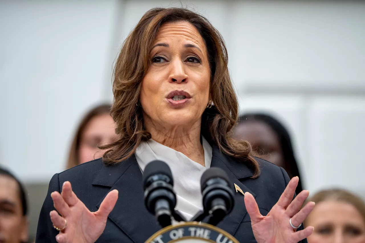 Wall Street billionaires rally around Kamala Harris as Silicon Valley leaders sides with Trump