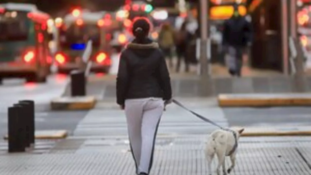 Servicio Meteorol Gico Nacional Clima En Buenos Aires El Pron Stico Del Tiempo Para Este