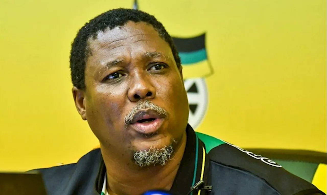 Mtolo's remarks unfortunate and disgusting: Nehawu - SABC News - Breaking news, special reports, world,