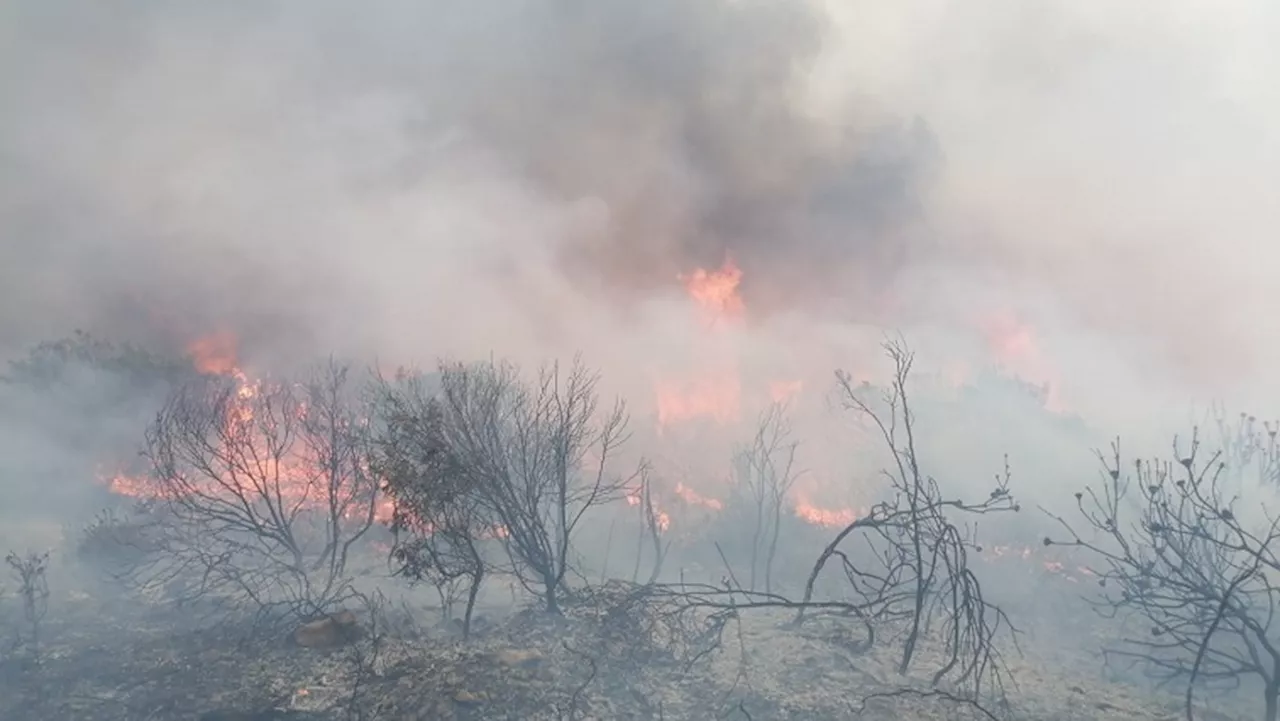 Three people killed in Garden Route National Park chalet fire - SABC News - Breaking news, special reports,