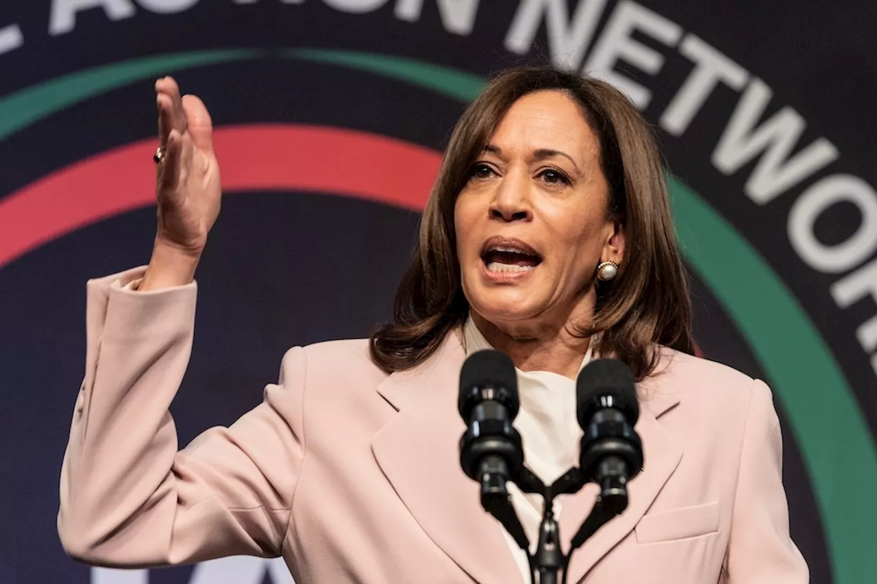 Texas’ DNC delegates vote 260-6 to back Kamala Harris