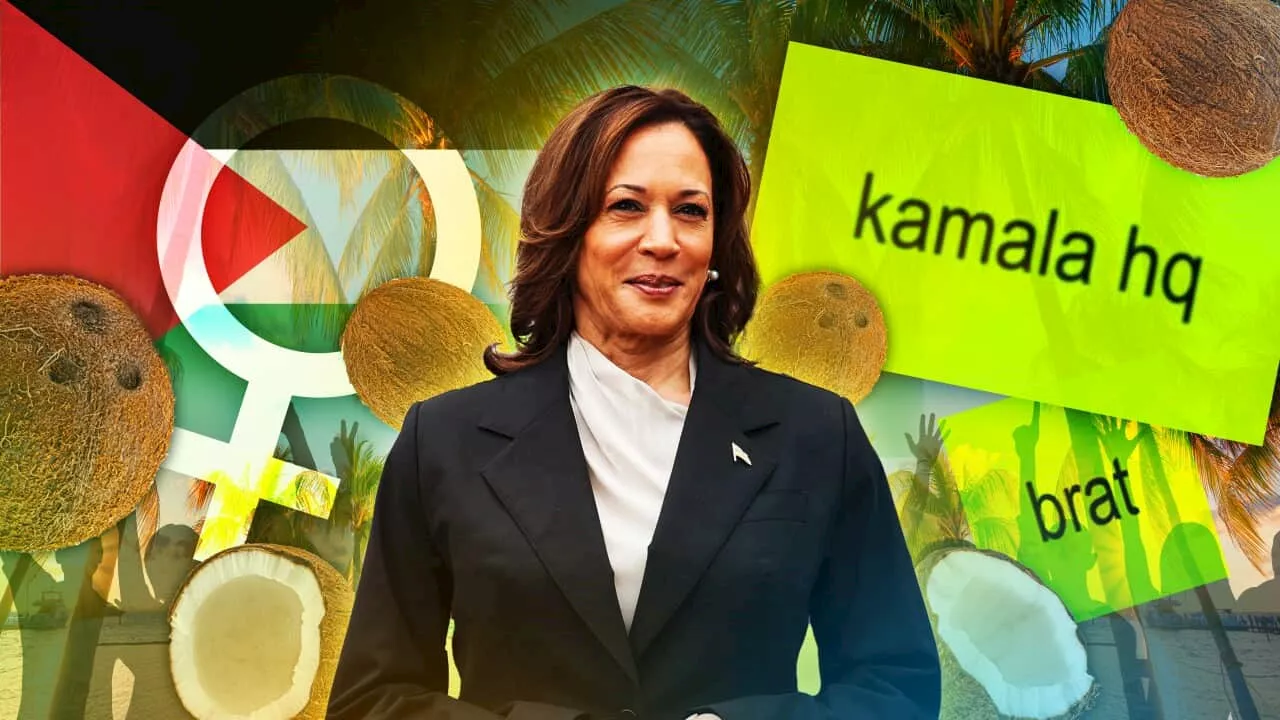 Brat, coconut tree memes and her views on Israel: Six things to know about Kamala Harris