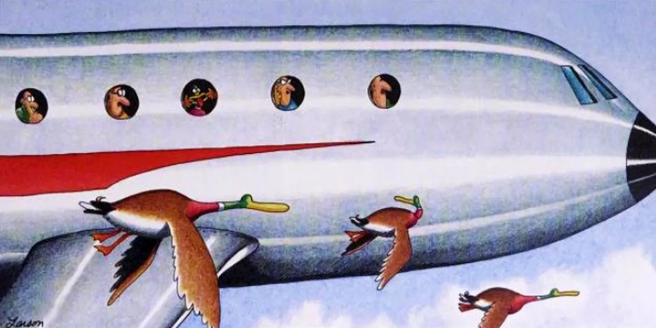 10 Hilarious Far Side Comics Featuring Airplanes