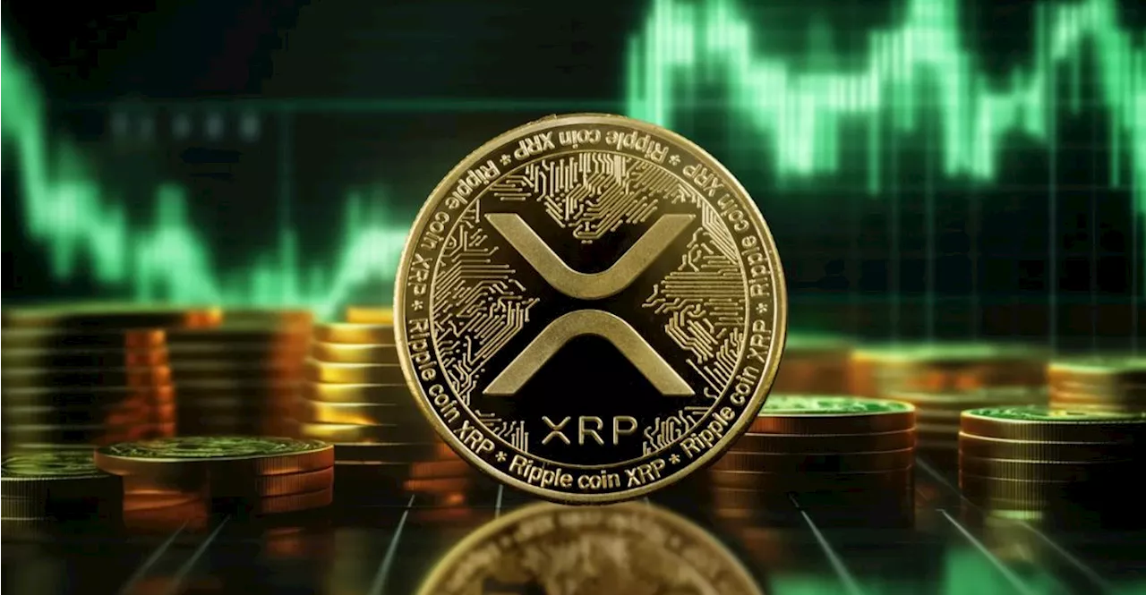 ข้อมูลใหม่เผยราคา XRP พุ่งขึ้นกว่า 35% แต่ไร้เงานักลงทุนหน้าใหม่ !