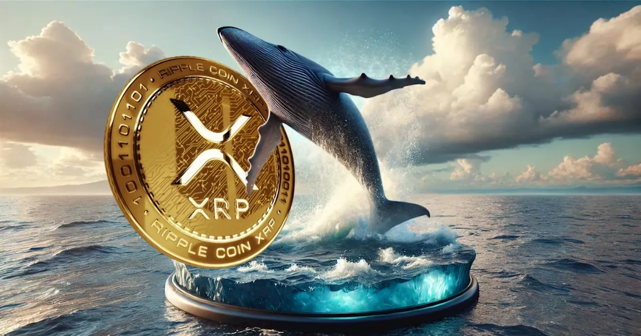 เจ้ามือรายใหญ่ตุน XRP มูลค่าเกือบ 6 ร้อยล้านบาทเข้ากระเป๋าเพิ่ม ท่ามกลางการลดลงของราคา