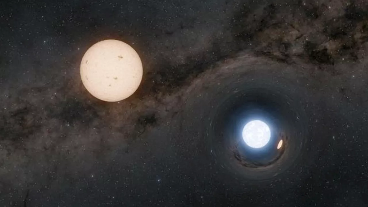 21 'one-in-a-million' extreme dead stars found hiding around sun-like stars