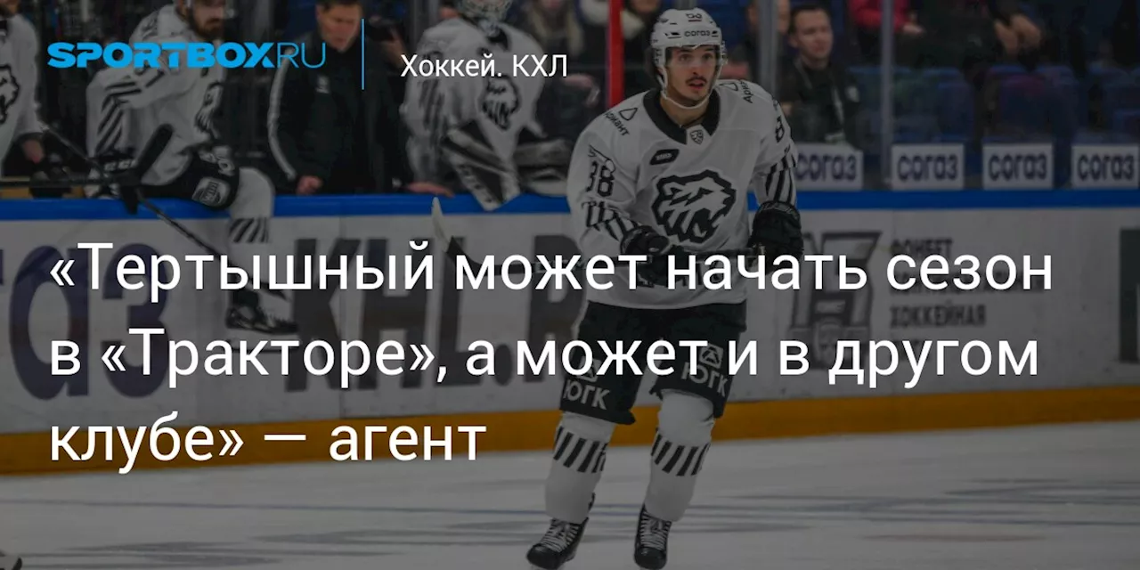 «Тертышный может начать сезон в «Тракторе», а может и в другом клубе» — агент