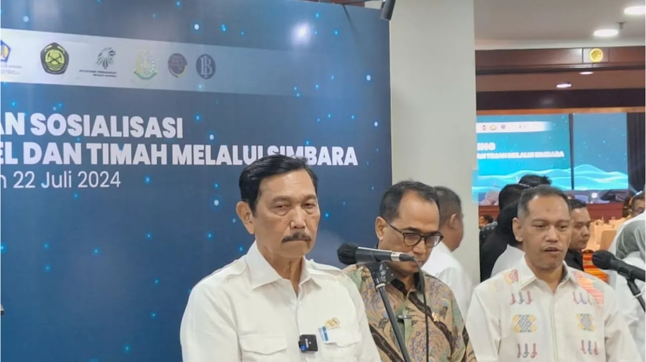 Nggak Ada Celah, Kini Beking Tambang Timah-Nikel Ilegal Nggak Berguna di Mata Luhut