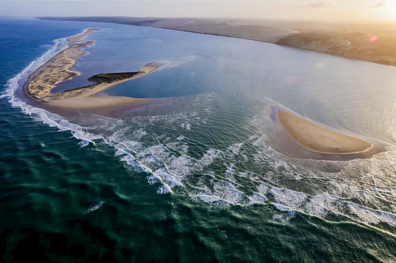 Bassin d’Arcachon : la pointe sud du banc d’Arguin toujours interdite à l’accostage et au débarquement