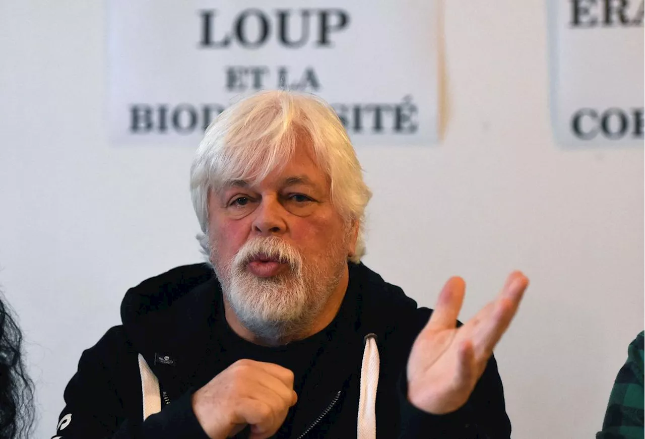 Brigitte Bardot, Pierre Niney, Hugo Clément… Plusieurs personnalités réclament la libération de Paul Watson