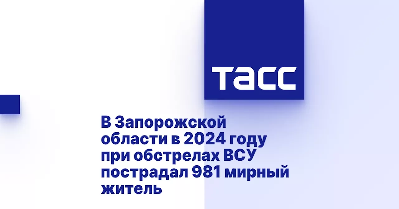 В Запорожской области в 2024 году при обстрелах ВСУ пострадал 981 мирный житель