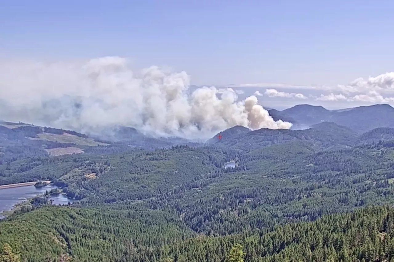 UPDATE: Wildfire in Sooke Potholes Regional park grows to 5 hectares