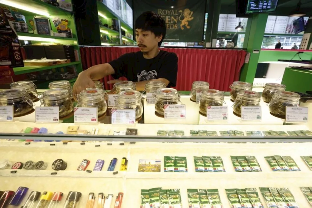 Thailand to legislate medical marijuana