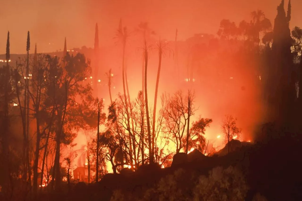 Wildfires, heat alerts up in western US