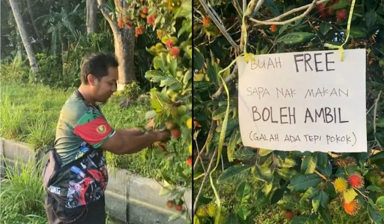 [Video] Pemilik Pokok Rambutan Raih Pujian, Tinggal Nota Benarkan Orang Ramai Petik Buah