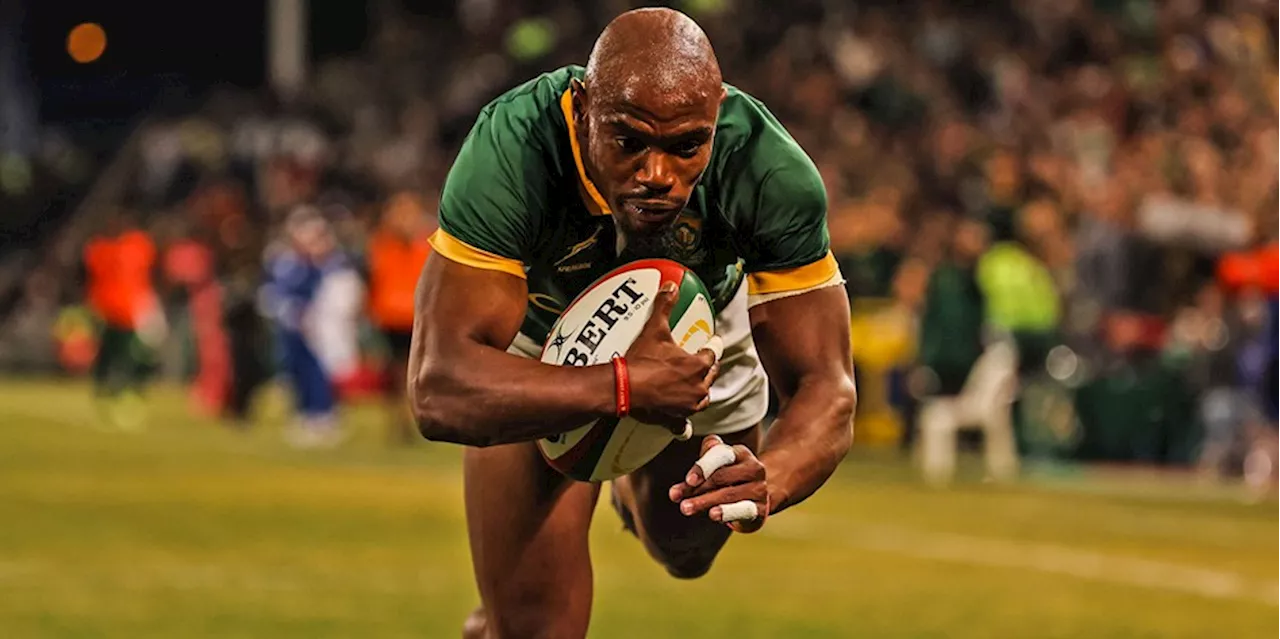 Springbok Rugby Championship squad: Breakdown between SA-based and foreign