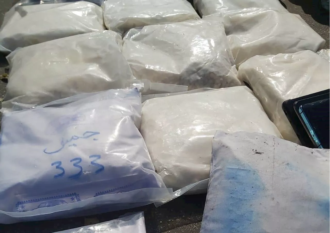 Three Mexicans arrested in major South Africa drugs bust on remote farm