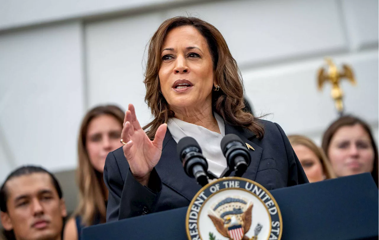 Trump Is &#8220;Scrambling&#8221; Following Harris&#8217;s Rise to Dem Nominee Status