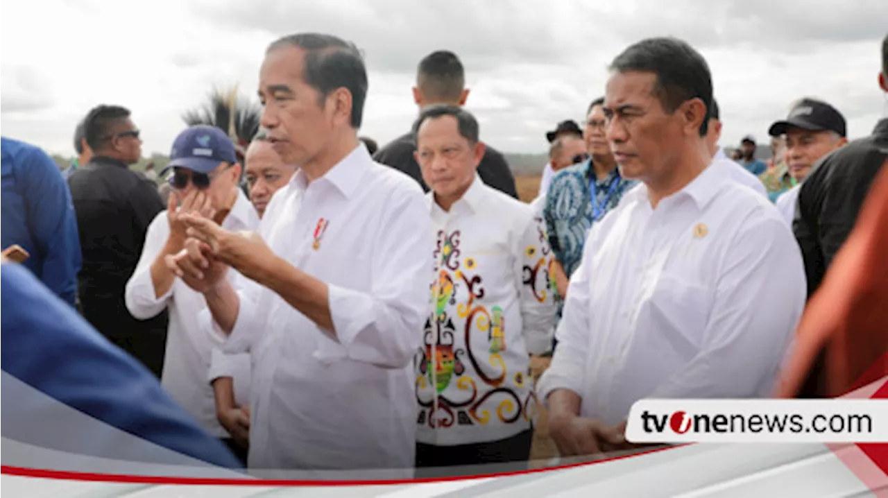 Amran Pacu Pengembangan Pertanian Modern di Merauke : Presiden Mendukung