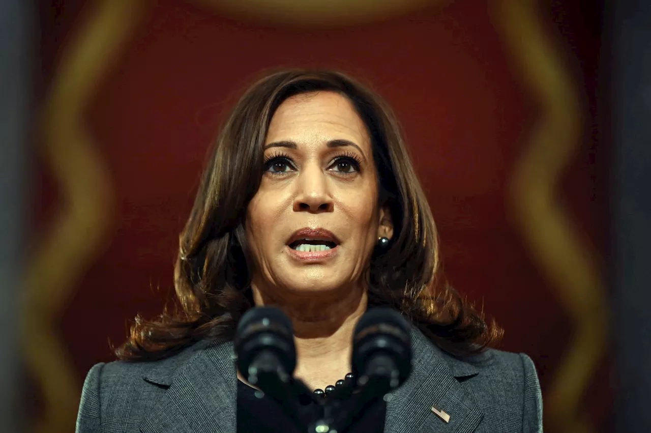 Kamala Harris raih sokongan anggota parti