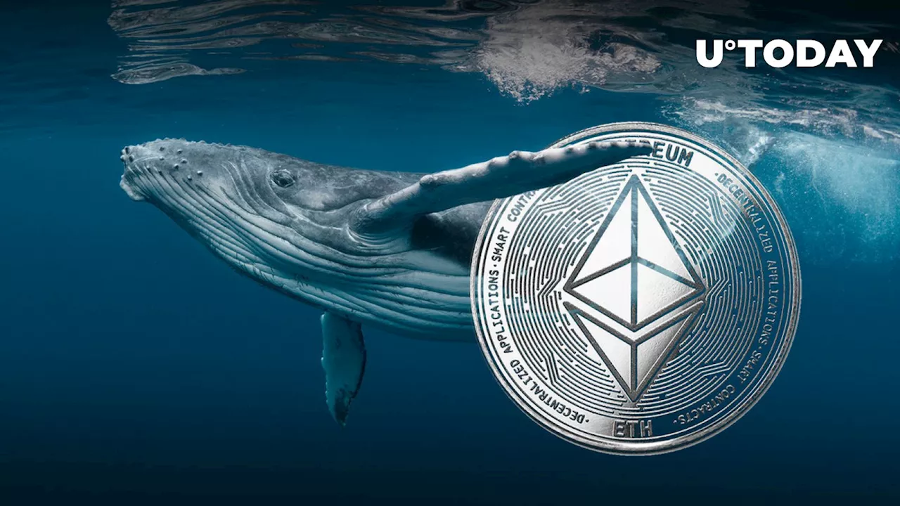 Ancient Ethereum (ETH) Whale Awakens Ahead of ETH Launch