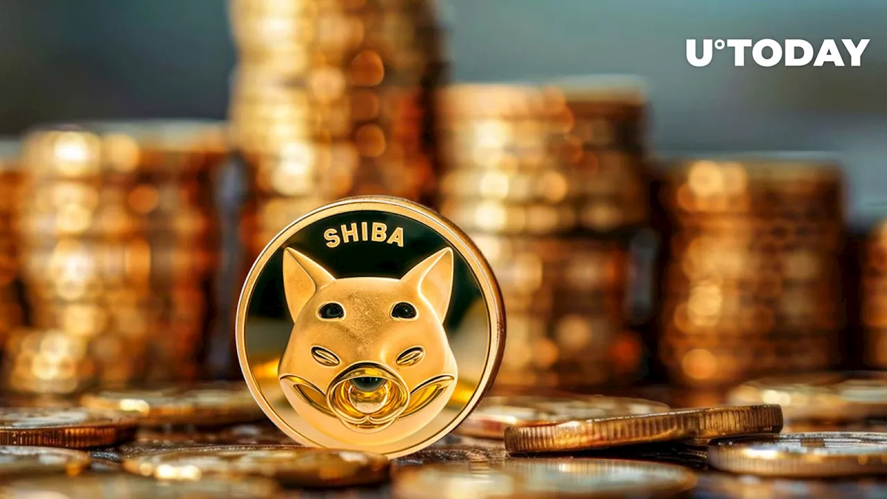 SHIB Team Says: Altcoin Season Coming