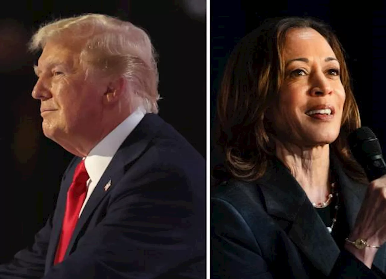 En Las Encuestas A Kamala Harris Le Va Mejor Frente A Donald Trump