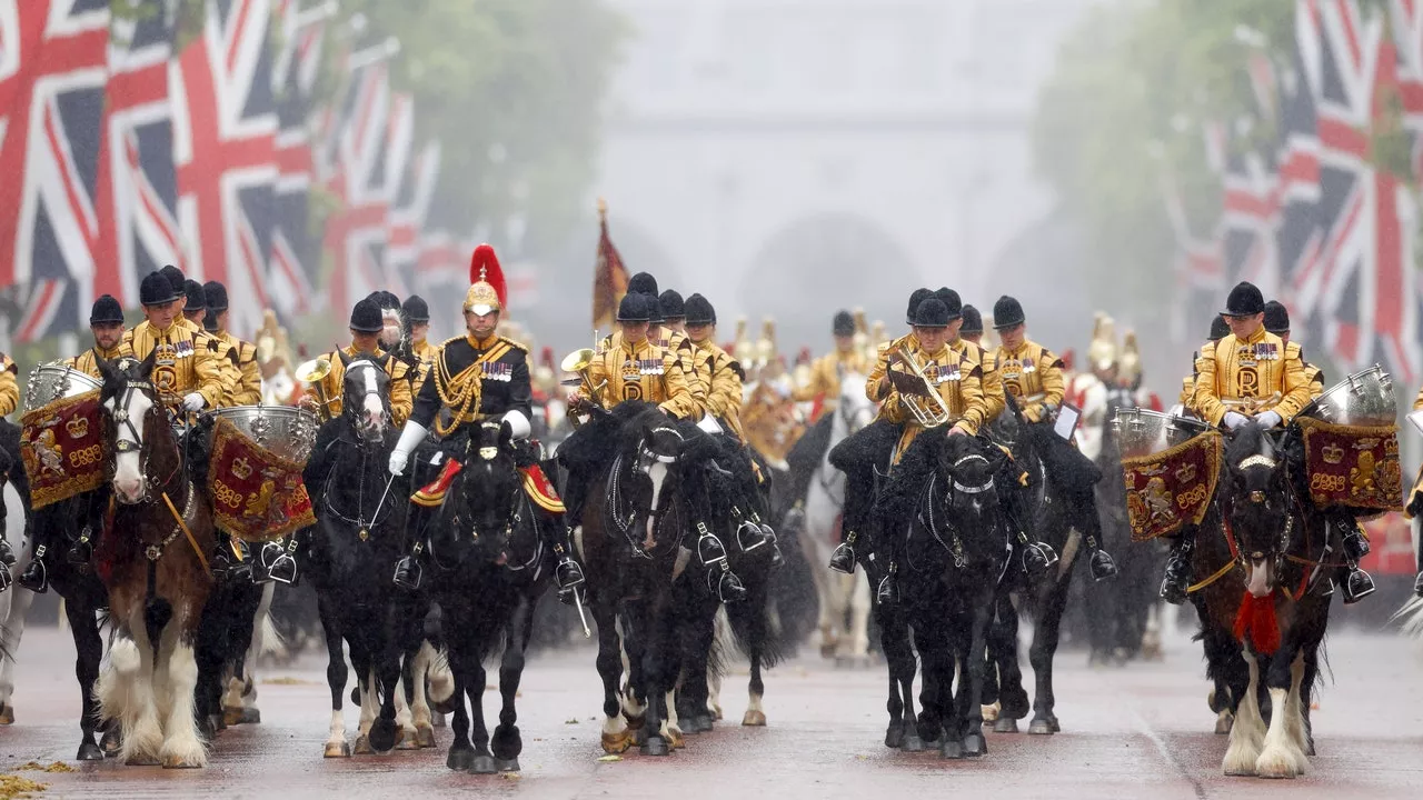 King Charles’s Horse Bit a Tourist. (In Fairness to the Horse, He’s Also a Bodyguard.)