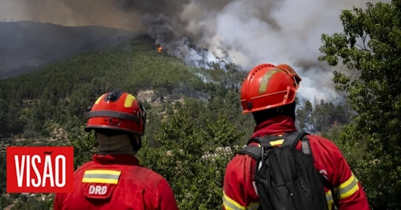 Incêndios: mais 300 operacionais combatem as chamas em Leiria e Batalha