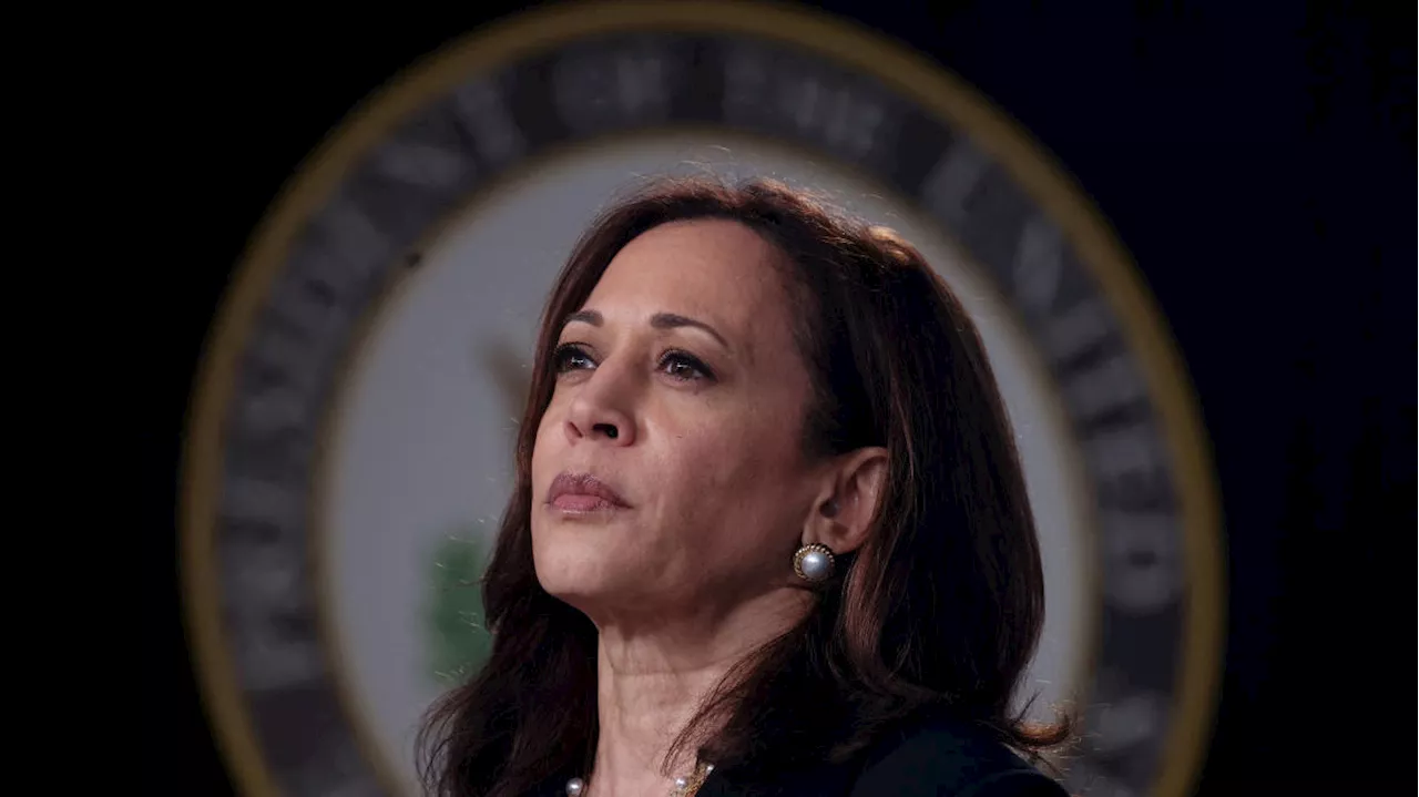 Kamala Harris is 'an unknown product' to many Americans