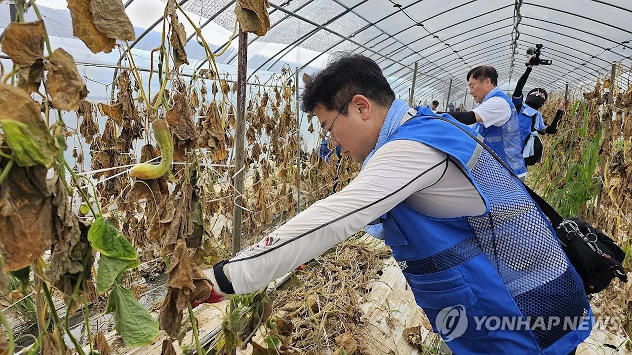 박찬대 '200년 빈도의 집중호우 대처할 근본적 대책 필요'