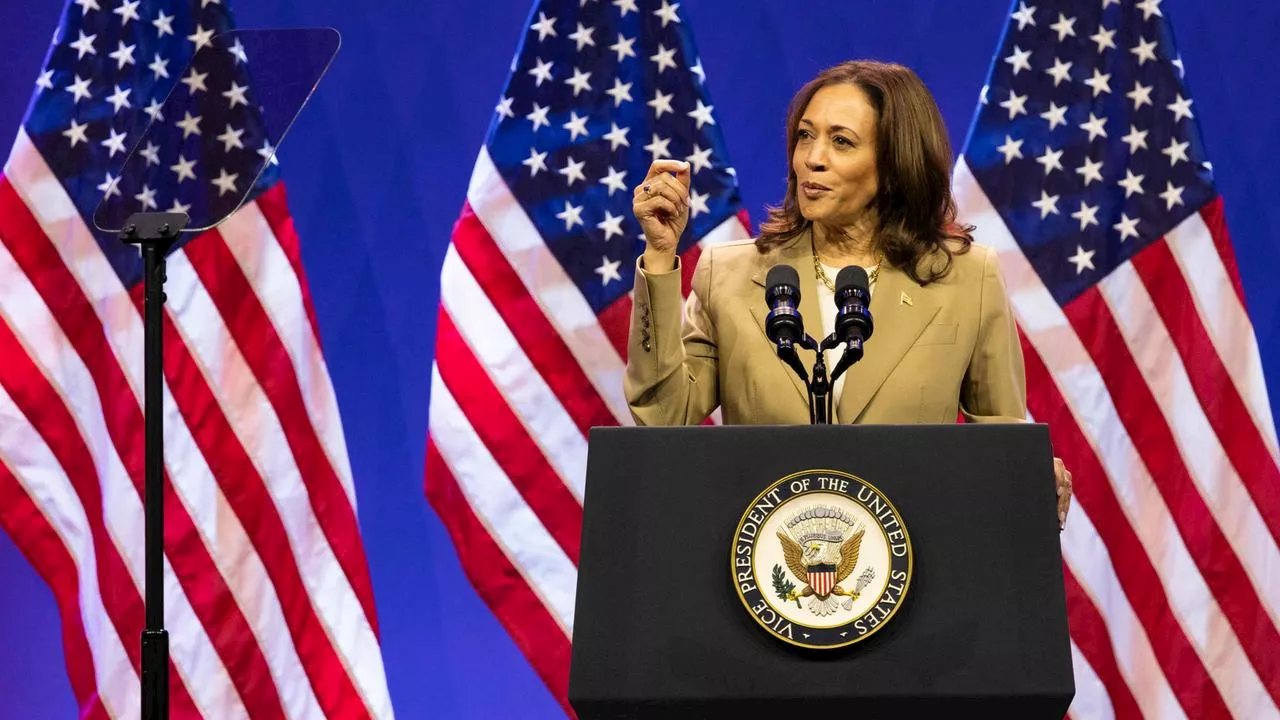 US-Wahlkampf: Welche Chancen hat Kamala Harris gegen Trump?