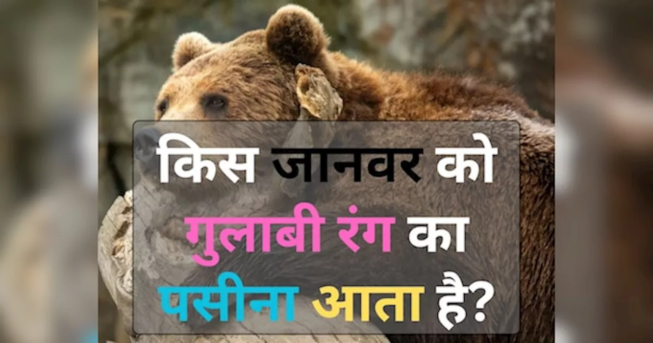 एक ऐसा जानवर जिसे गुलाबी रंग का पसीना आता है, क्या आप जानते हैं उसका नाम?