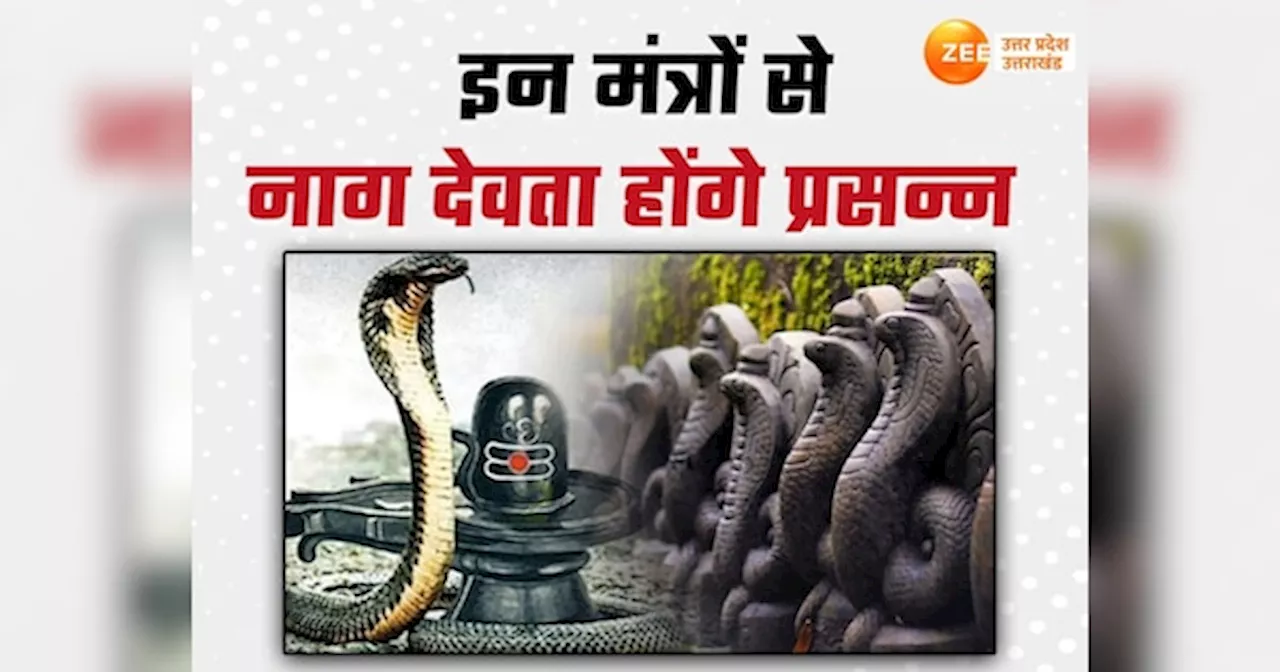 Nag Panchami 2024: नाग पंचमी पर करें इन विशेष मंत्रों का जाप, शिव बरसेगी कृपा और कटेंगे दोष