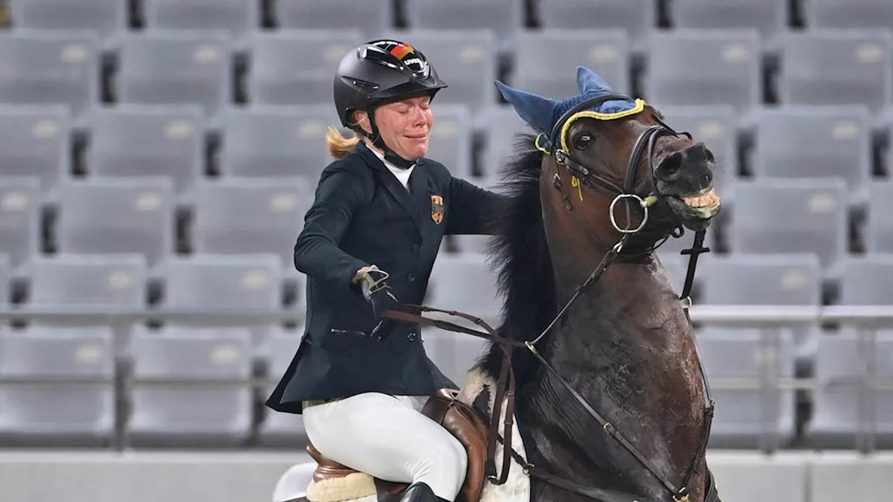 Tierquälerei: Pferde-Schläge im Spitzensport sind kein Einzelfall