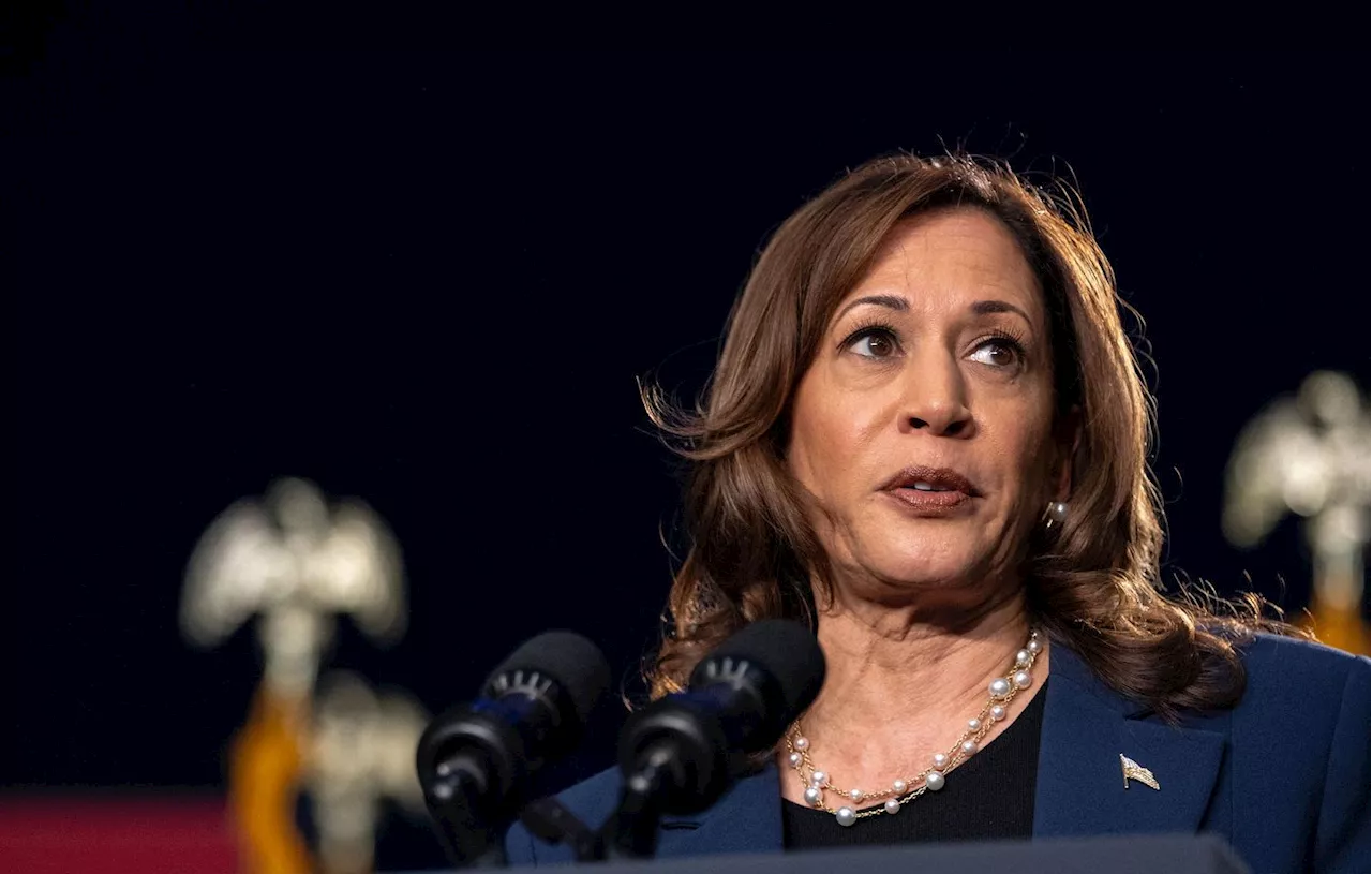 Présidentielle américaine 2024 : Kamala Harris victime de sexisme et de désinformation