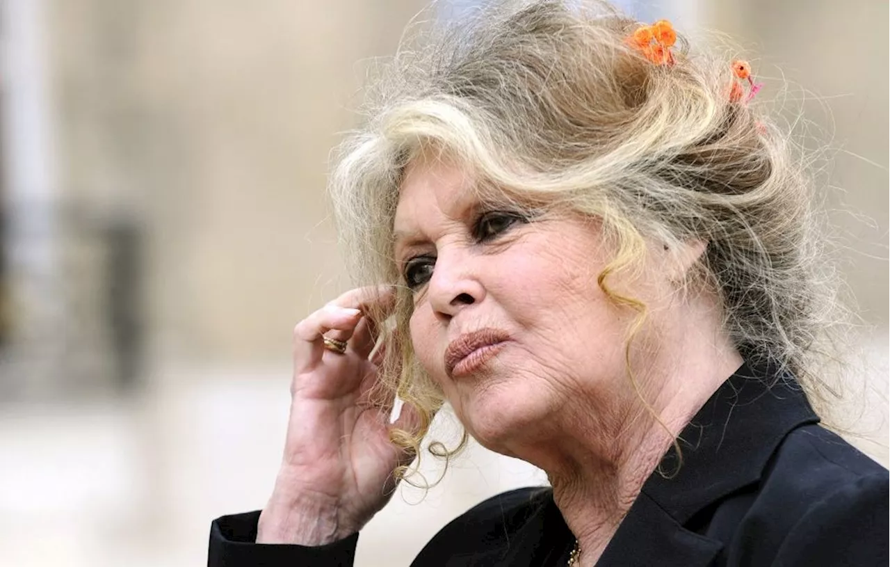 Turquie : Brigitte Bardot dénonce un projet de loi visant à euthanasier des millions de chiens errants