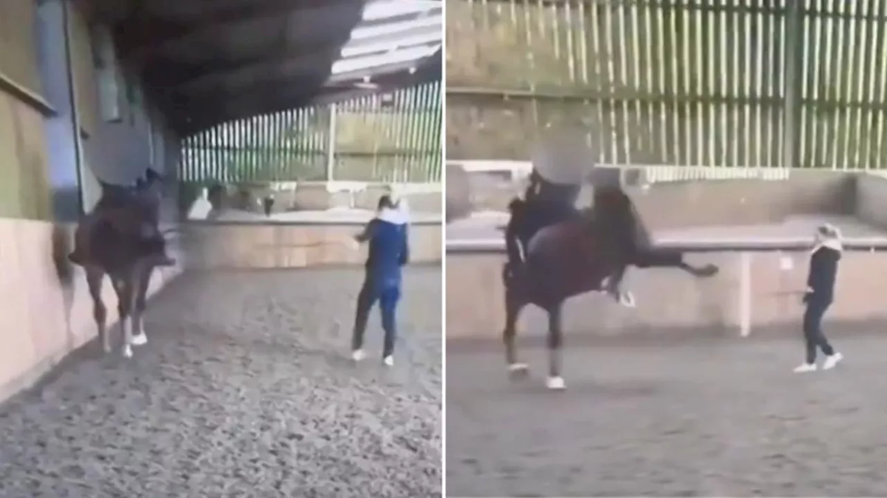 Video emerges of disgraced Olympic legend Charlotte Dujardin’s ‘cruel abuse’ during private coaching session