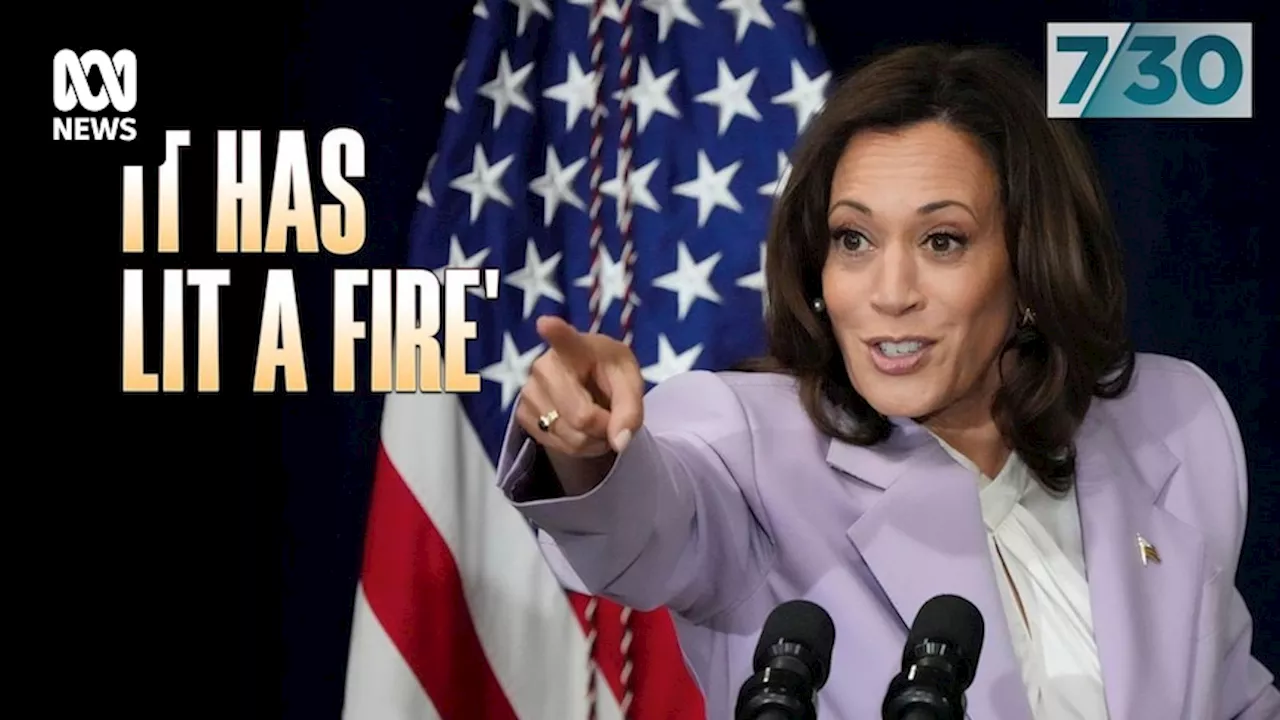 Kamala Harris reinvigorated Democrats' campaign for White House