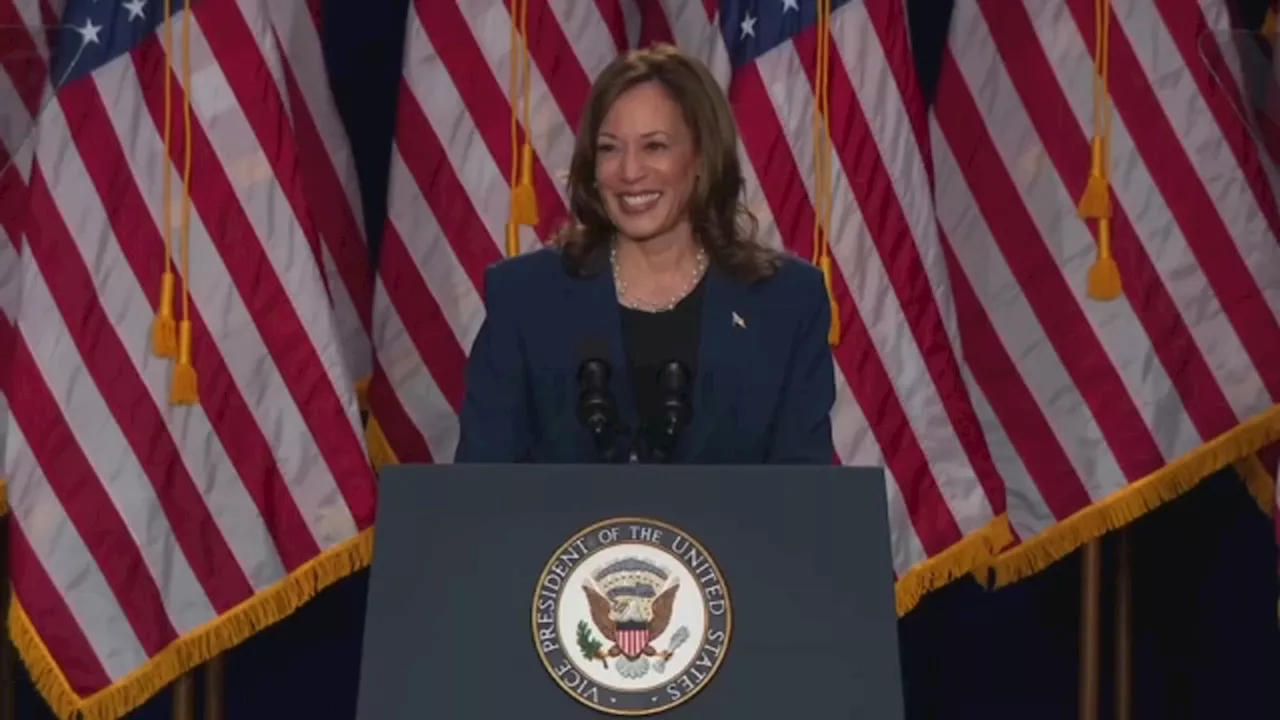 Democratic National Convention's rules show Kamala Harris' nomination is likely, but not guaranteed