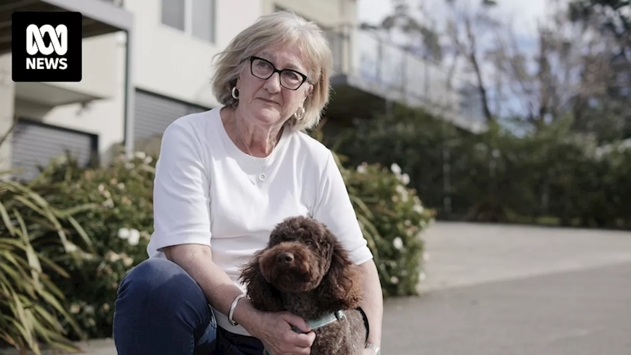 Labradoodles from Tasmanian breeder costing families hundreds of thousands in vet bills