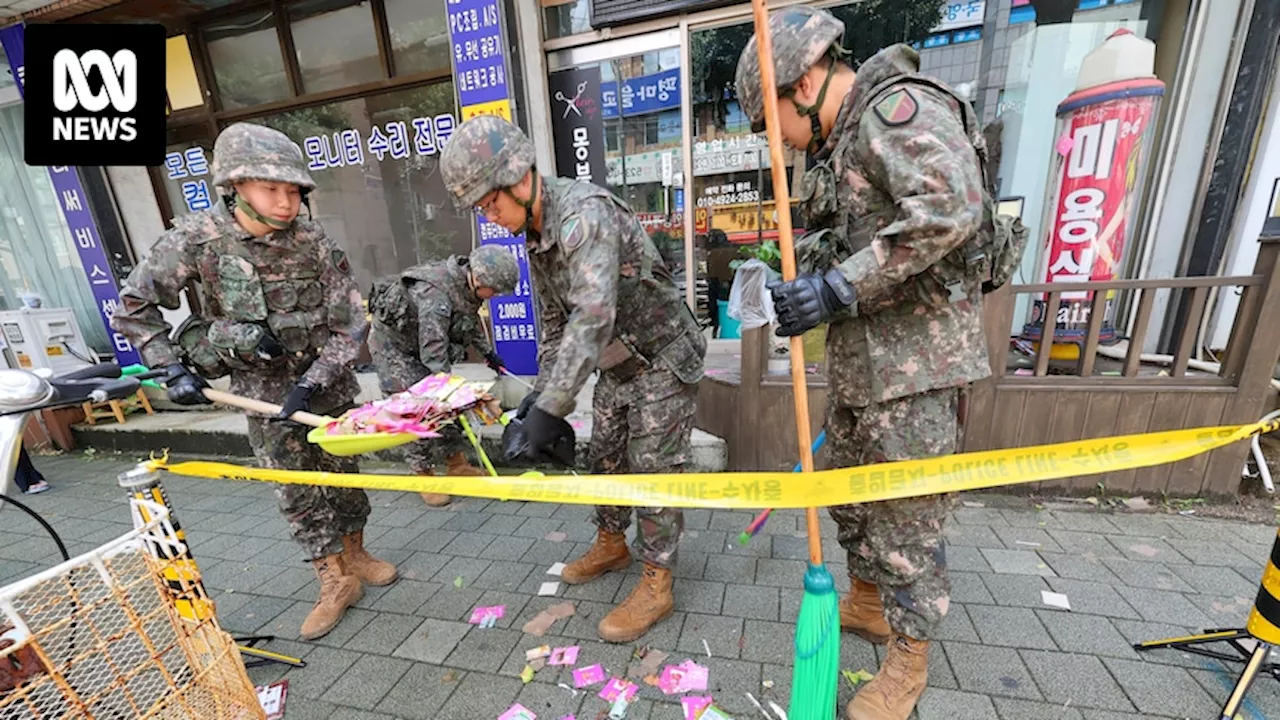 North Korean rubbish-carrying balloon hits South Korean presidential compound in Seoul