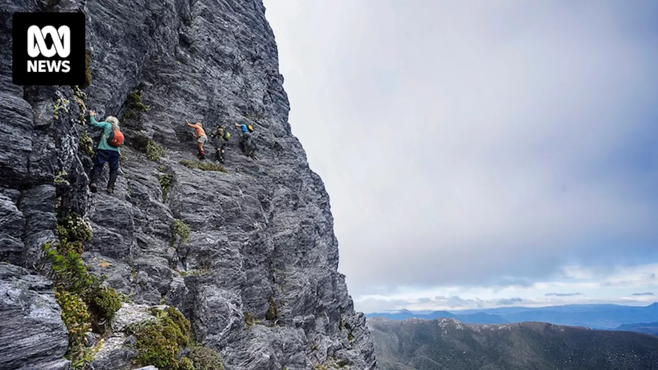 Tasmanian police hopeful missing bushwalker will be found, saying he has 'some military training' and is 'well-equipped'