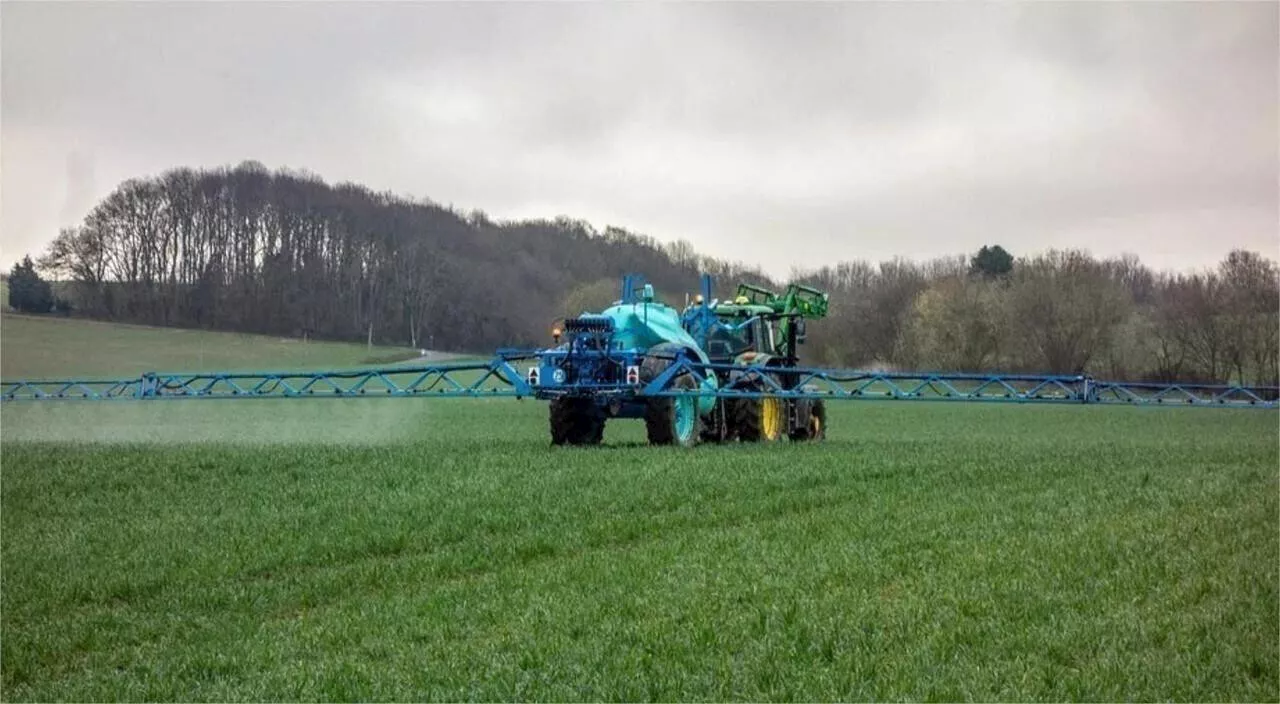 La Rochelle : de nombreux pesticides détectés dans l'agglomération rochelaise et la plaine d'Aunis