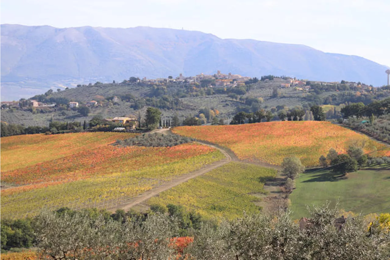 Assegnate le spighe verdi, salgono a 72 i comuni rurali virtuosi