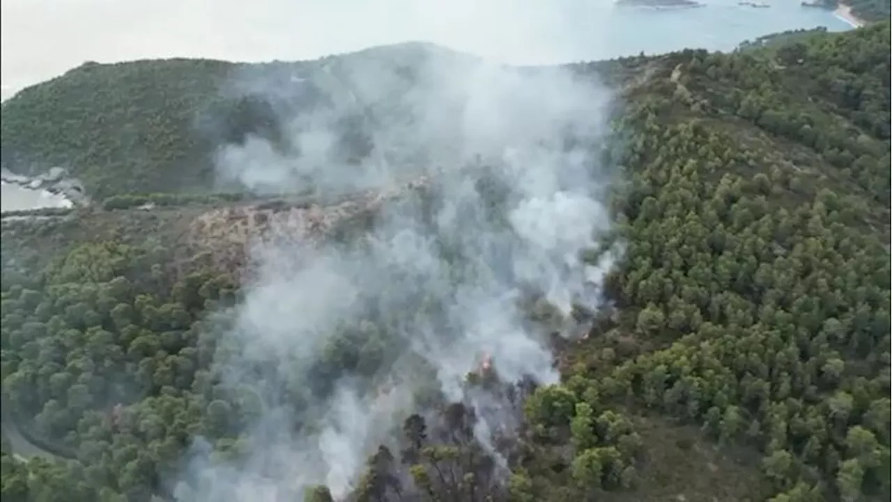 Vasto incendio boschivo a Baia San Felice a Vieste, sul Gargano